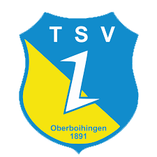VfL Pfullingen Wappen 06 2014 