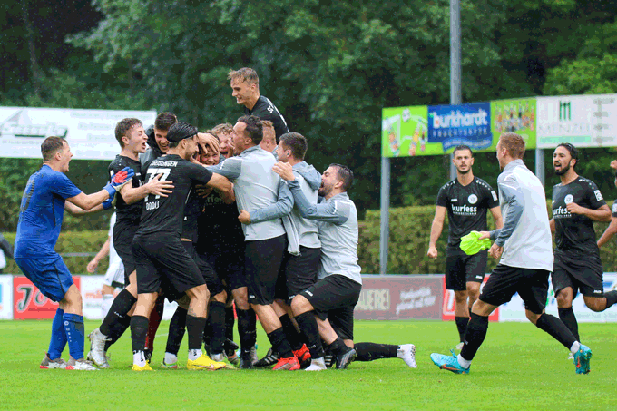 VfL Pfullingen Wappen 06 2014