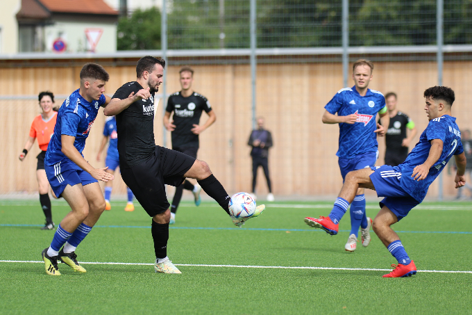 VfL Pfullingen Wappen 06 2014 