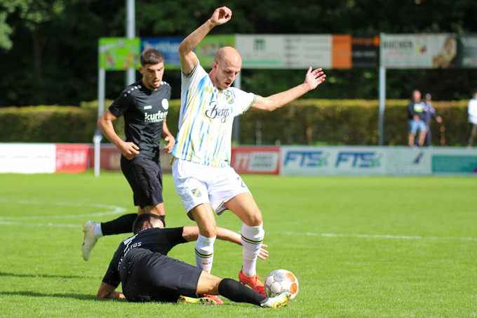 VfL Pfullingen Wappen 06 2014