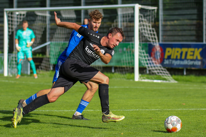 VfL Pfullingen Wappen 06 2014 